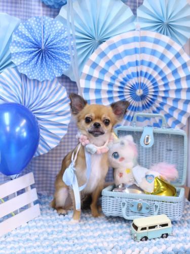 20231119れおくん